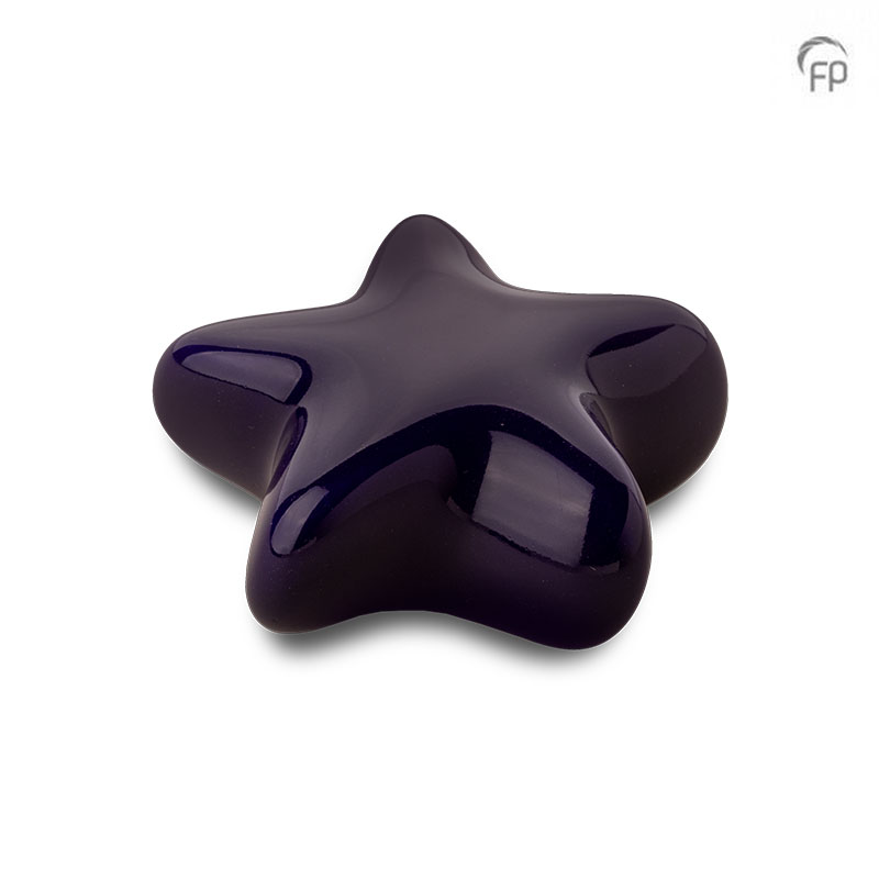 FPU 063 Keramische kunst urn keepsake Asteri